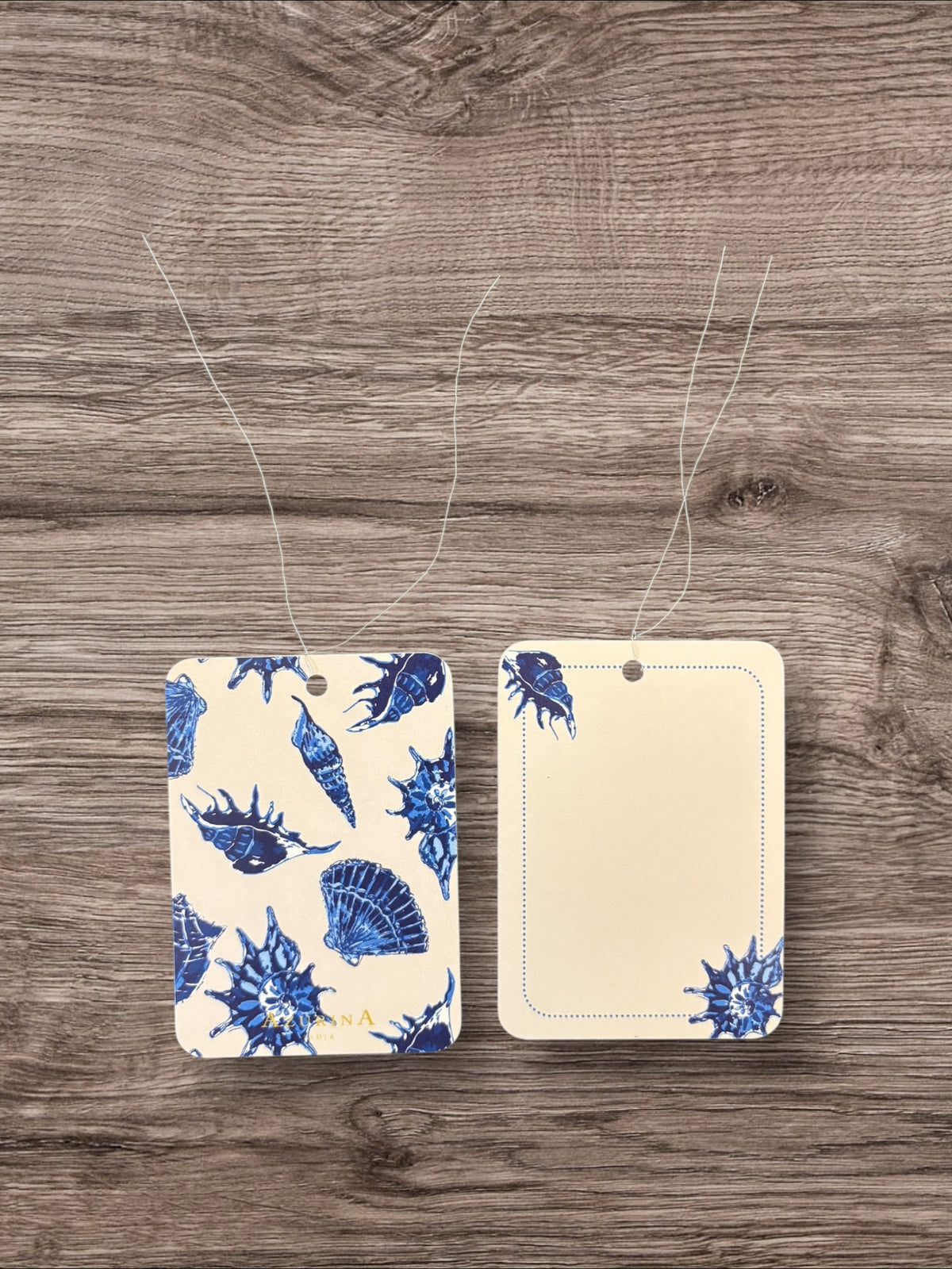 Stationery Gift Box - Sea Shells